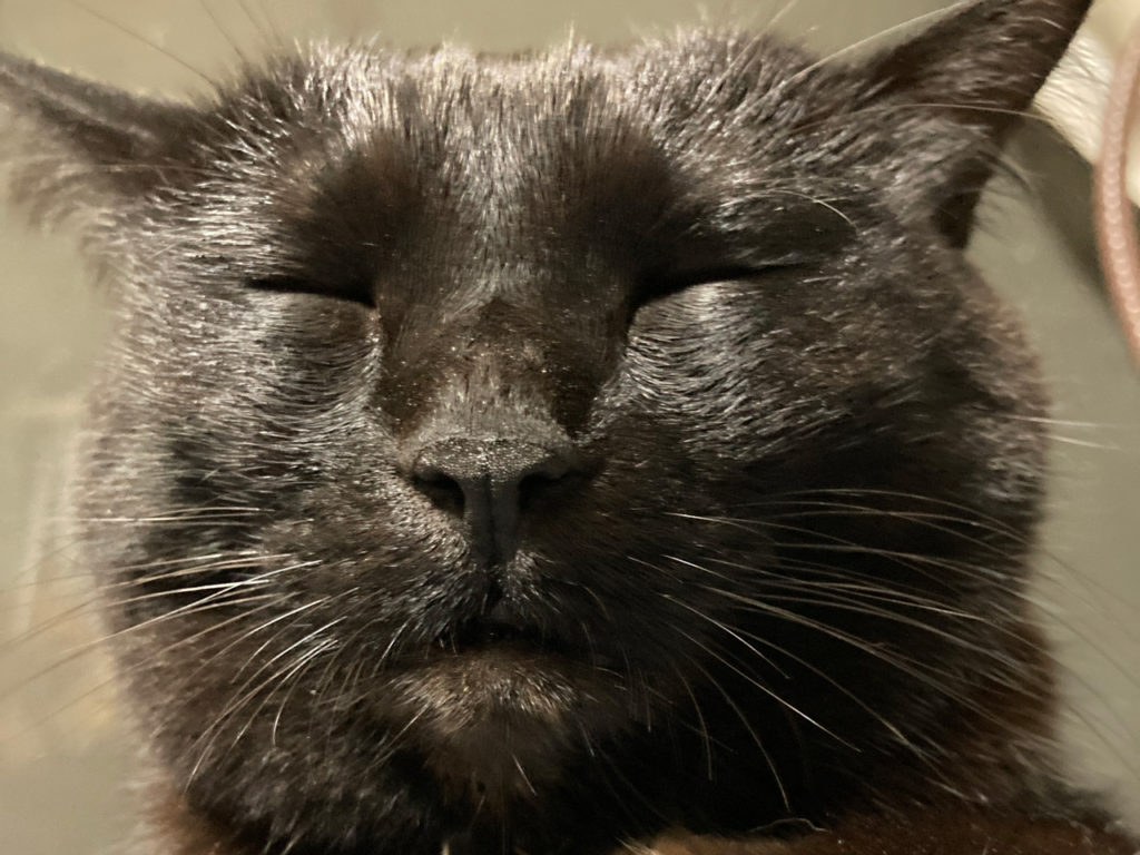 焦らなくてもいいよ