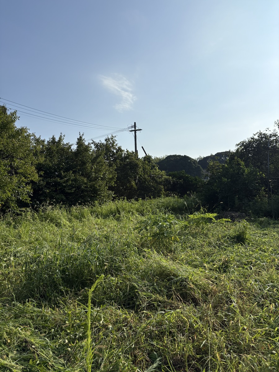 開墾プロジェクト