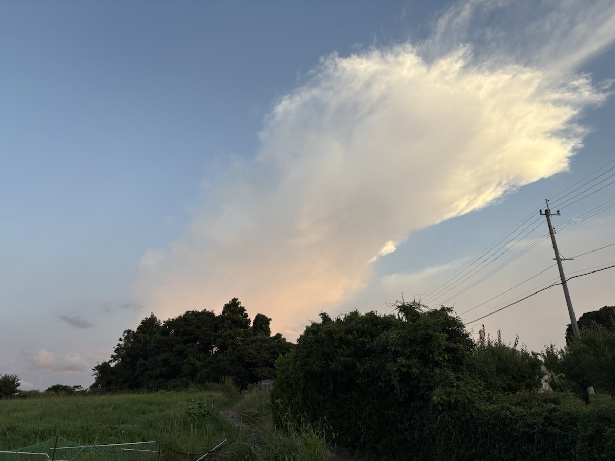 つづく生活に込めた想い