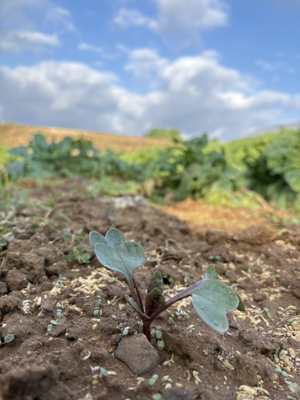 入院帰りの電車の中で考えたこれからの10年をどう生きるか？