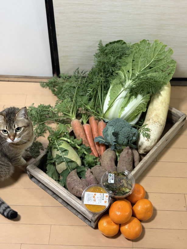 好きの力を信じて