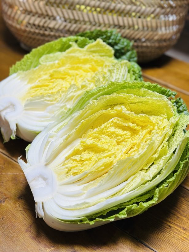苦節10年で白菜を作ることができました