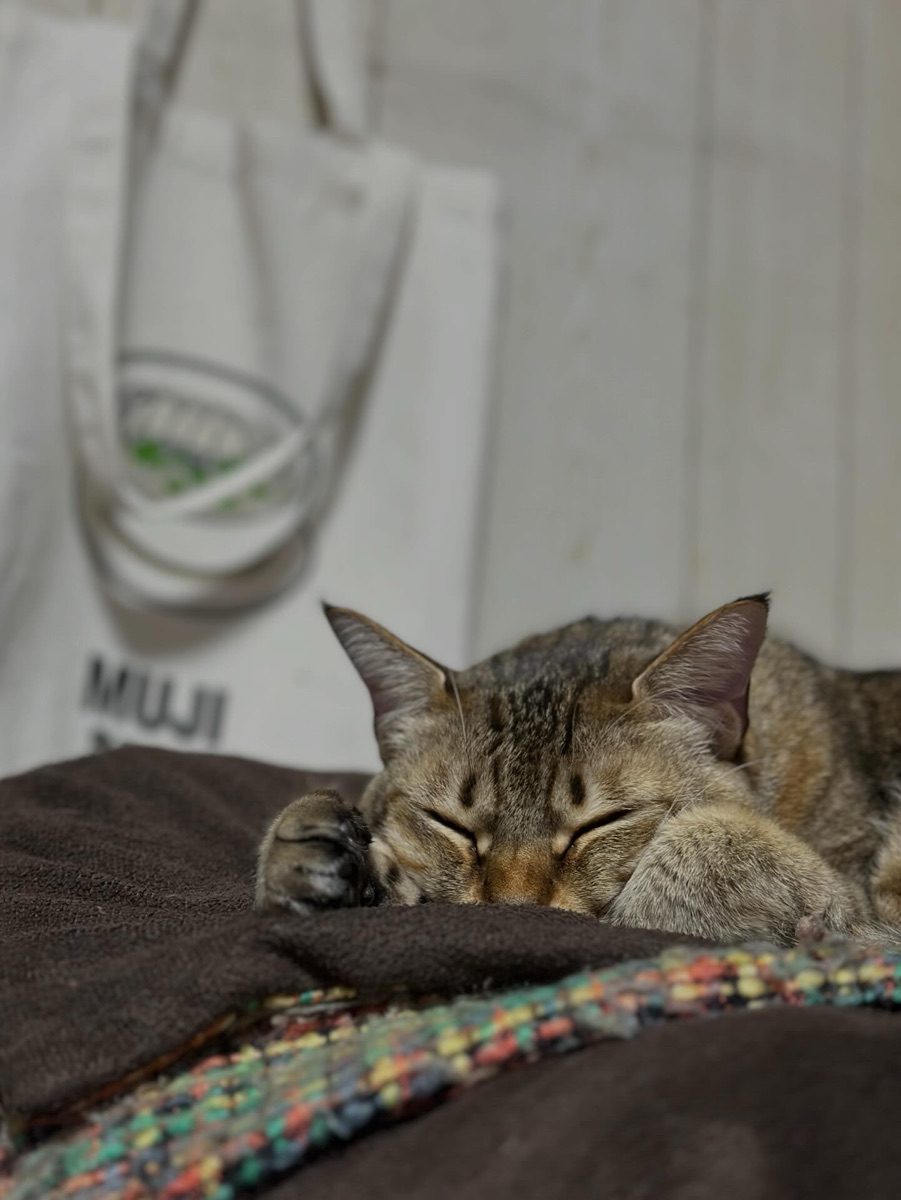 幸せは不幸のふりしてやってくる