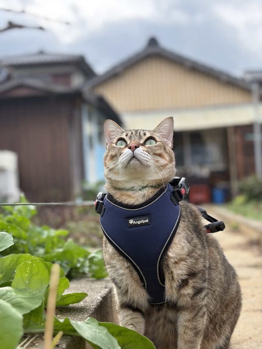今年1年の振り返り