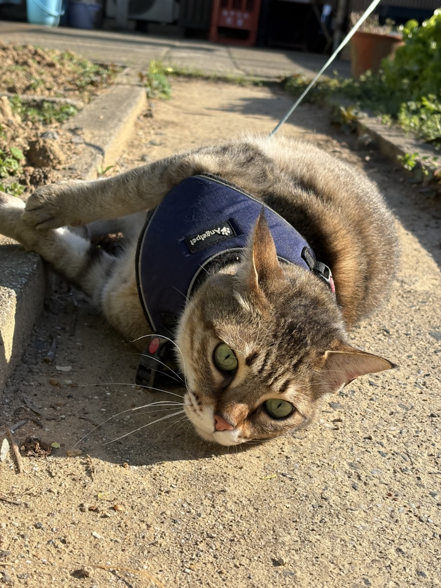 自分の人生だもの